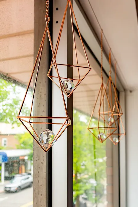 Insight Yoga and Meditation Picture 2