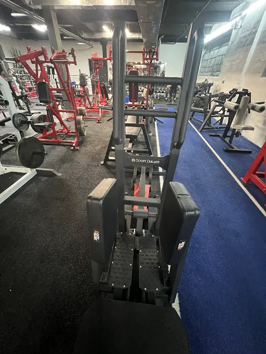 Elite Barbell Picture 1