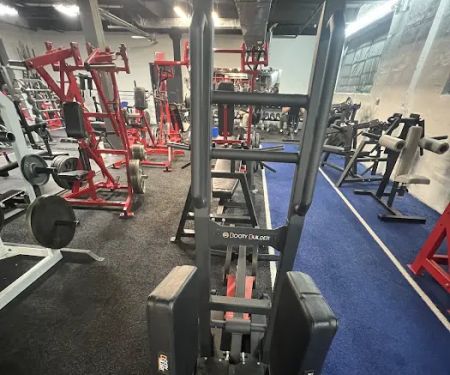 Elite Barbell