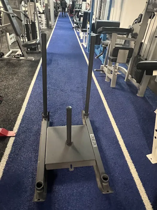 Elite Barbell Picture 7