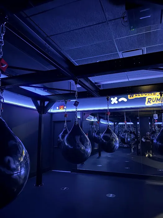 Rumble Boxing Picture 1