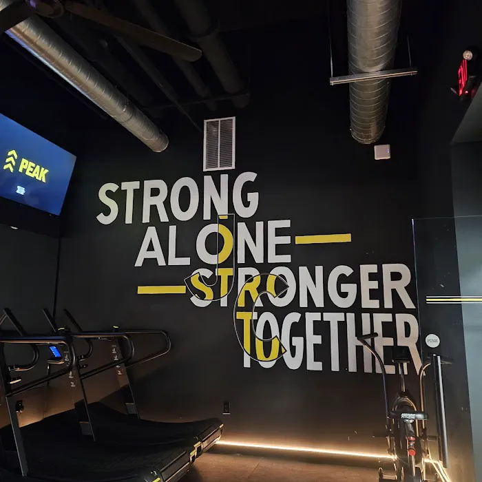 Alpha Fit Club Picture 8