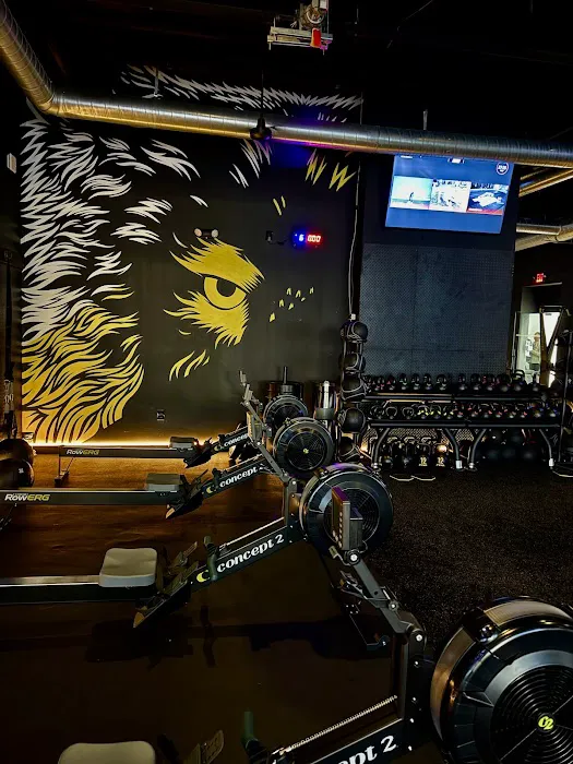 Alpha Fit Club Picture 3