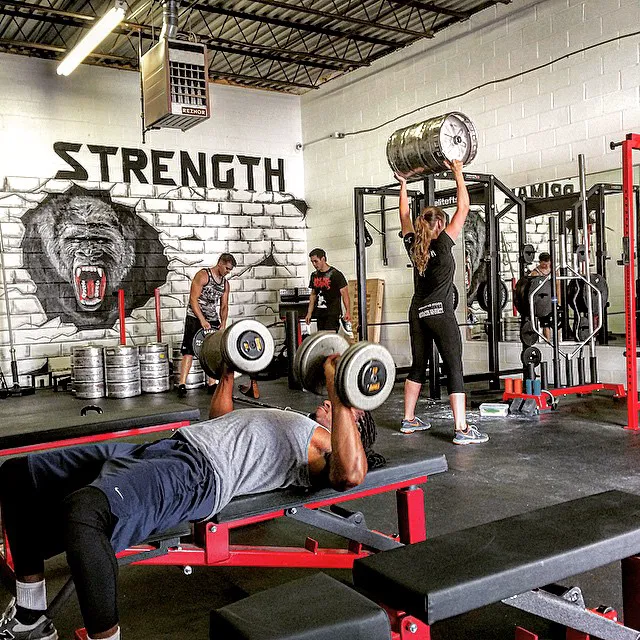 Primal Strength Gym Picture 1