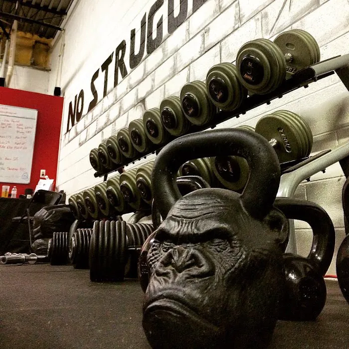 Primal Strength Gym Picture 9