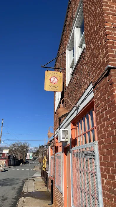 Ashtanga Yoga Charlottesville Picture 7