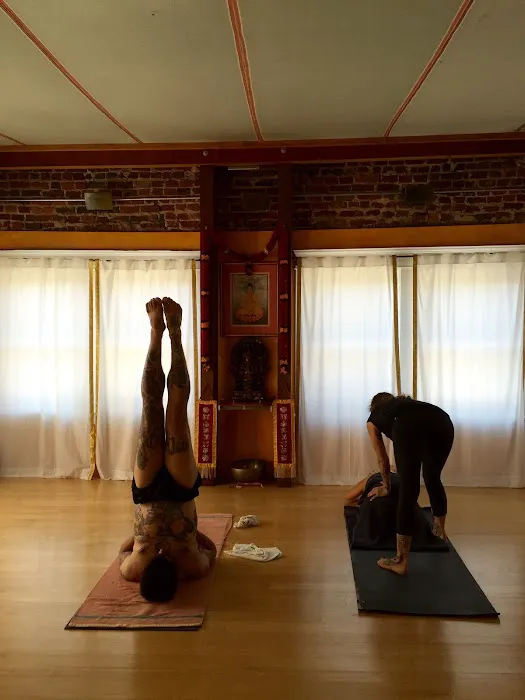 Ashtanga Yoga Charlottesville Picture 1