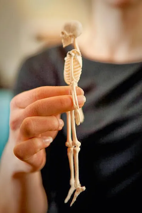Posture Studio Pilates & Physical Therapy Picture 5