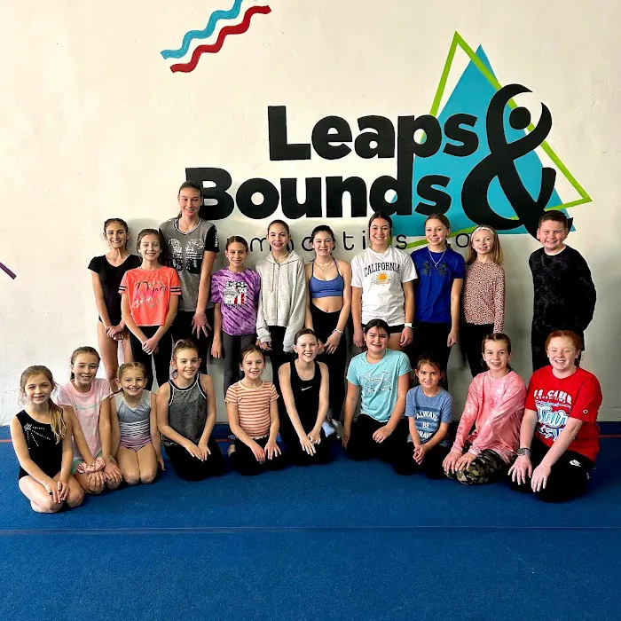 Leaps & Bounds Gymnastics Company Picture 8