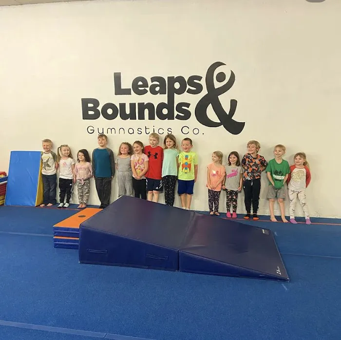Leaps & Bounds Gymnastics Company Picture 7