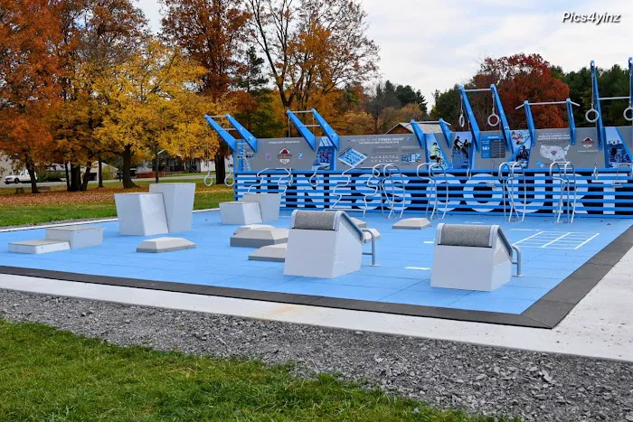 Fitness Court at Wright Fields at Veteran's Park Picture 2