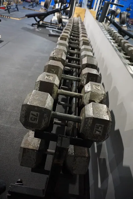 Celli's Fitness Center Picture 5