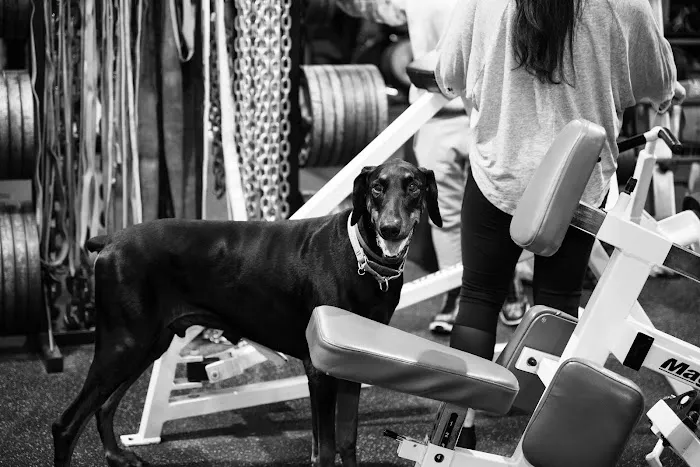 Celli's Fitness Center Picture 7