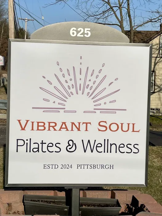 Vibrant Soul Pilates & Wellness Picture 2