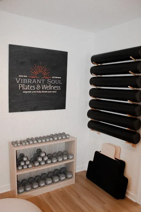 Vibrant Soul Pilates & Wellness Picture 3