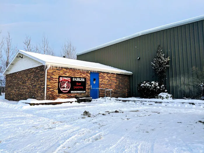 Erie Gymnastics Center Picture 1