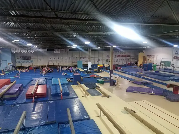 Flyers Gymnastics Picture 2