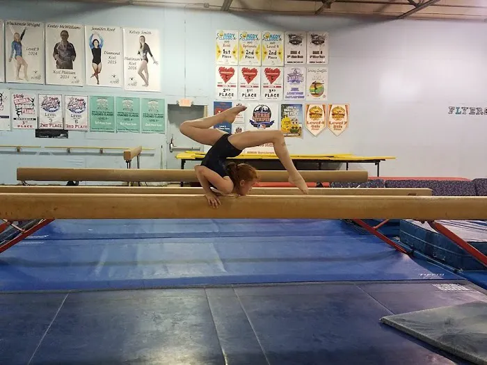 Flyers Gymnastics Picture 1