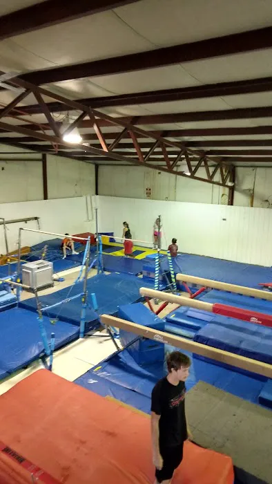 Lakettes Gymnastics Academy Picture 1