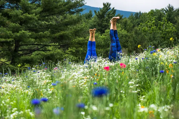 Heart of the Village Yoga Picture 5
