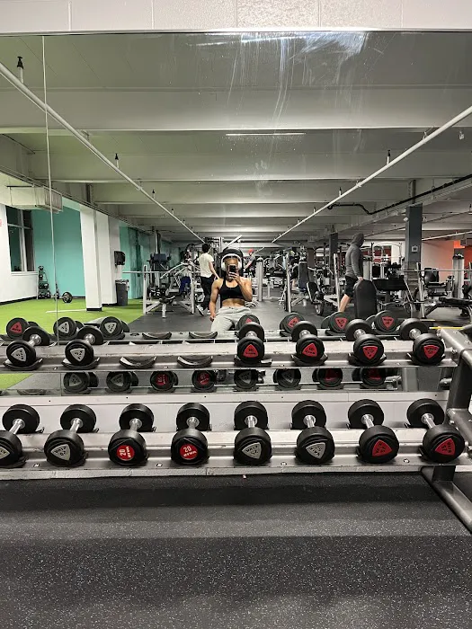 Club 24 Concept Gyms Picture 7