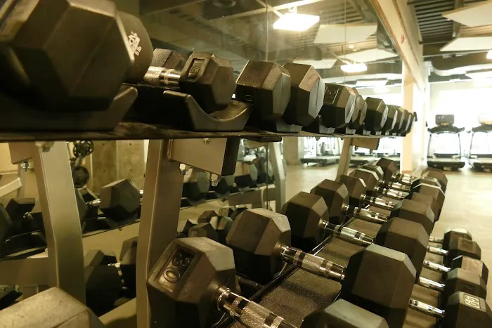 HALO Fitness Picture 5