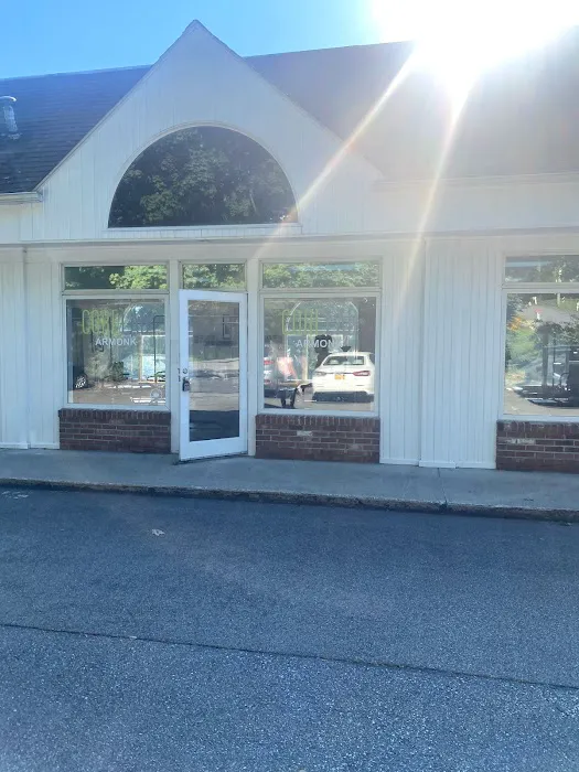 Corelab Armonk Picture 8