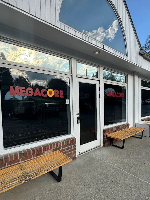 MegaCore Picture 3