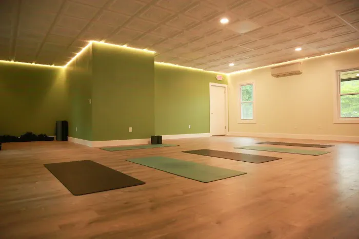 Rhoswyn Wellness Picture 7