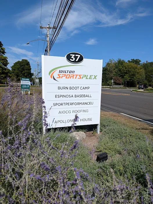 Wilton Sportsplex Picture 1
