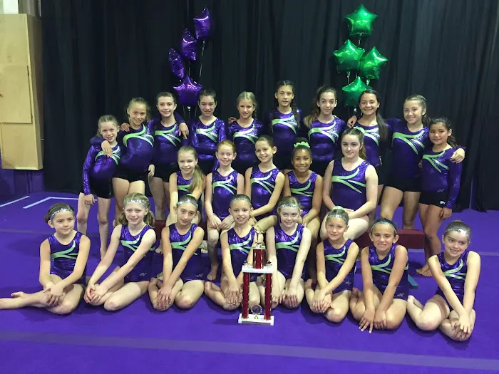 Flips Gymnastics Center Picture 5