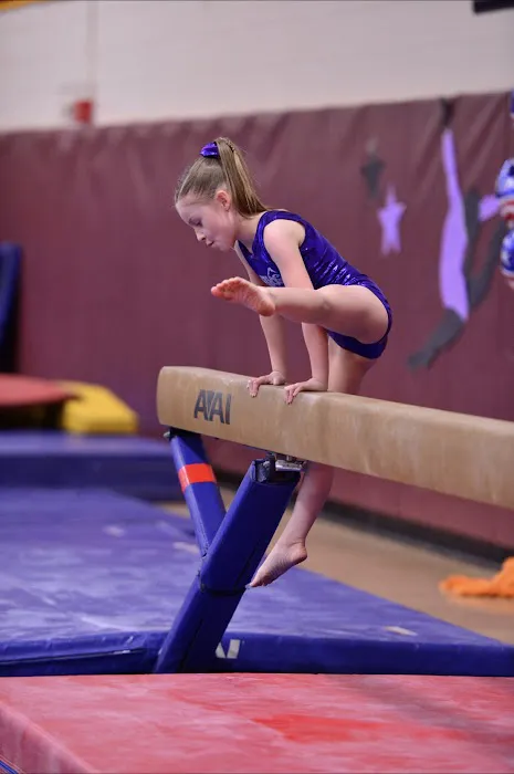 Flips Gymnastics Center Picture 6