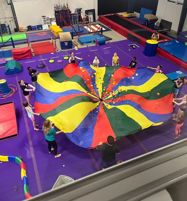 Flips Gymnastics Center Picture 9