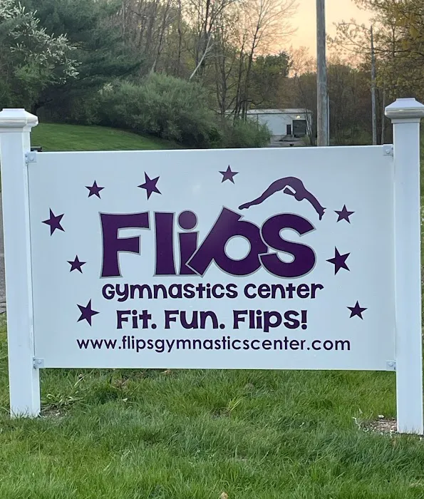 Flips Gymnastics Center Picture 10