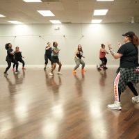Simply Fit Junkies ico