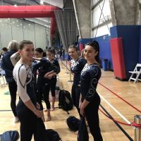 Gymnastics School of Connecticut ico