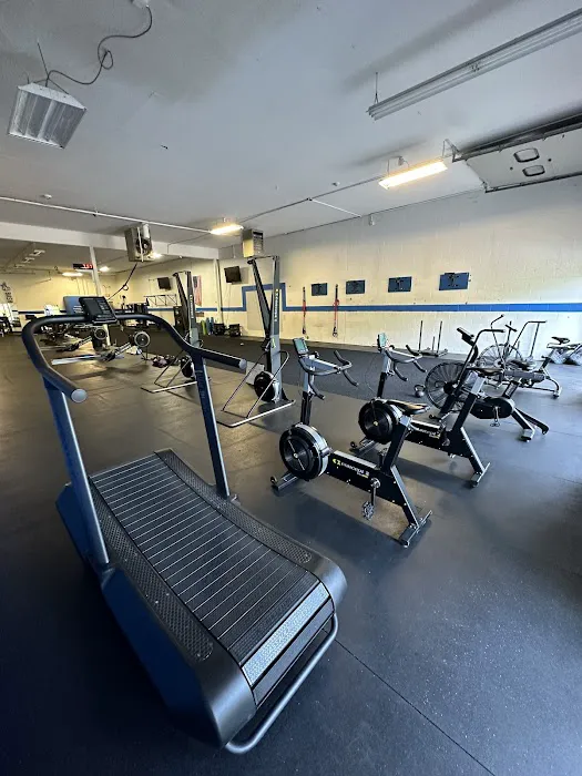 BASH Fitness & Nutrition Picture 1