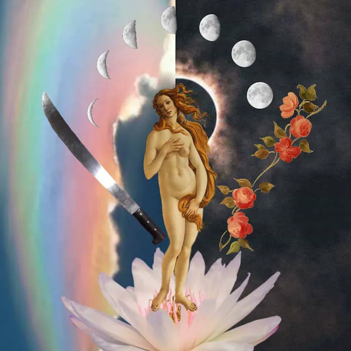 Luna & Lotus Picture 8