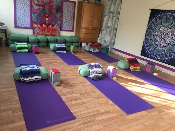 Pearl Dragonfly Yoga Picture 2