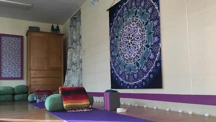 Pearl Dragonfly Yoga Picture 10