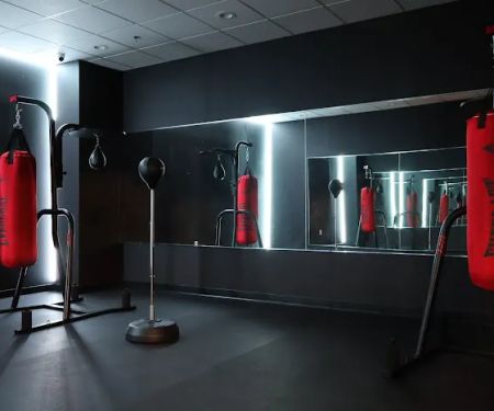 Maxx 365 Fitness & Recovery