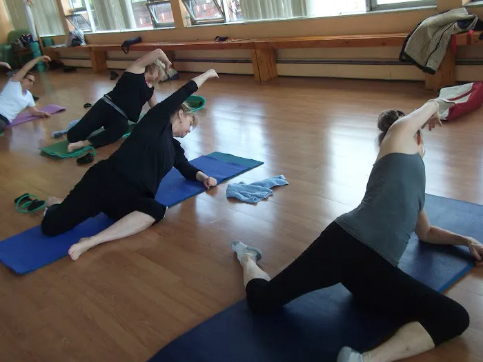 Joy of Moving: Dance Exercise, Pilates, Stretch & Tone, Senior Fitness Picture 3