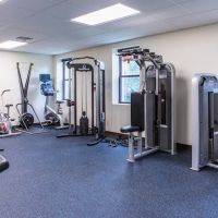 Mind Muscle Fitness ico