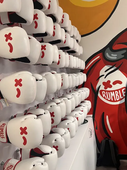 Rumble Boxing Picture 5