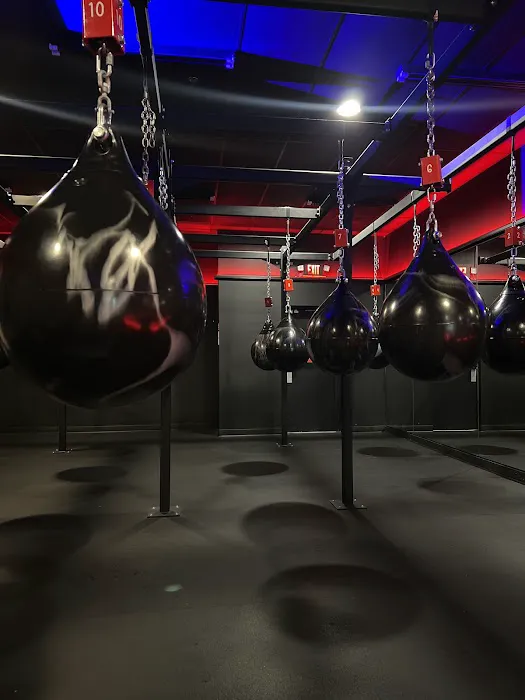Rumble Boxing Picture 1