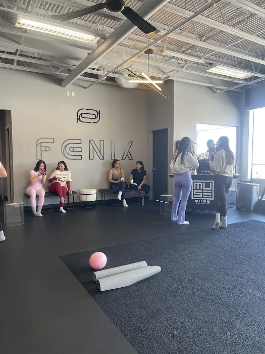 FENIX Englewood Picture 3