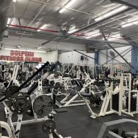 Dolphin Fitness Clubs ico