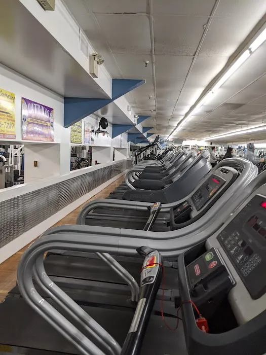 Dolphin Fitness Clubs Picture 9