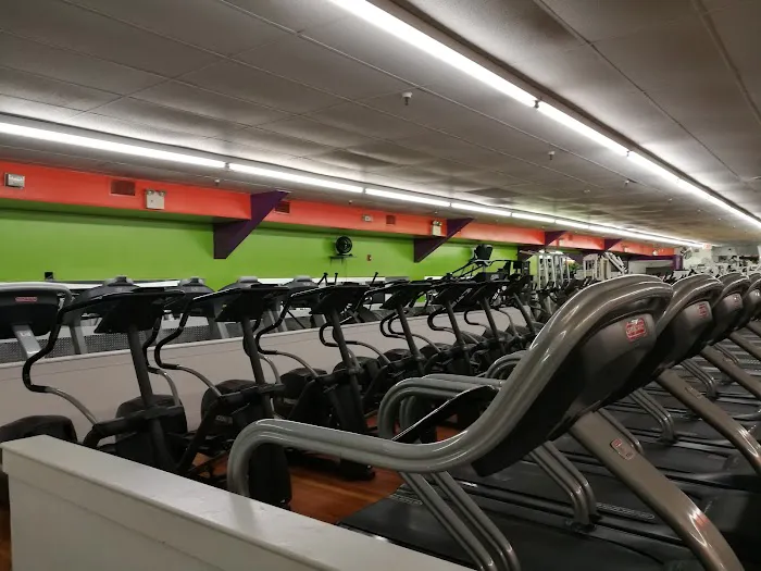 Dolphin Fitness Clubs Picture 8