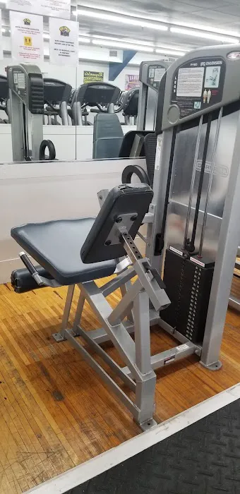 Dolphin Fitness Clubs Picture 3